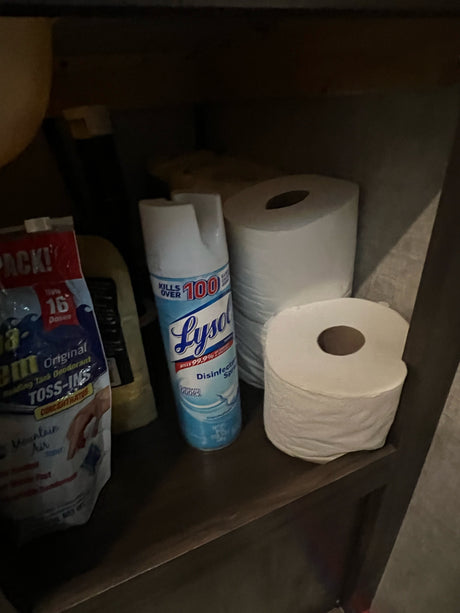 RV essentials for an rv rental: Lysol spray, toilet paper, and holding tank deodorizer neatly stored on a shelf.