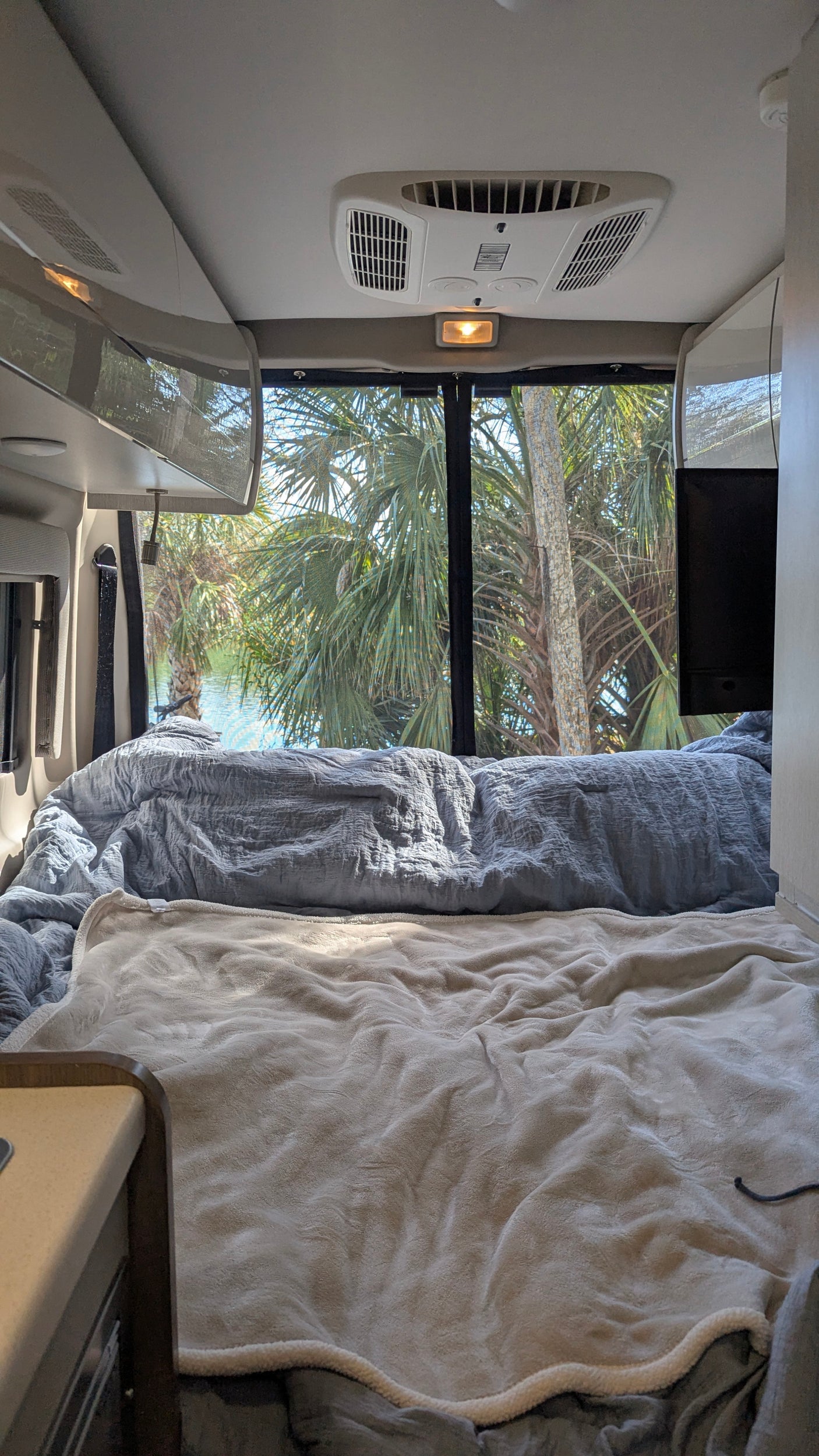 Cozy RV rental bed with a tropical view of palm trees and water, seen from inside the camper van's comfortable interior.