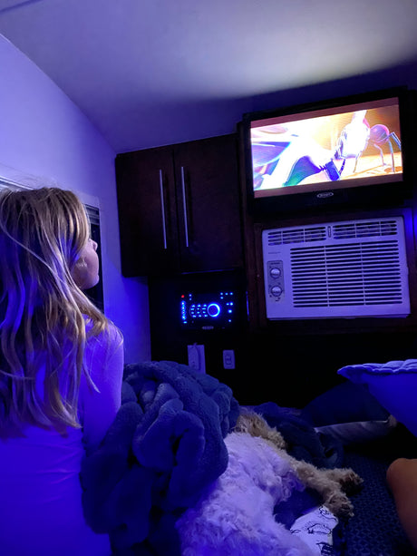 Relaxing evening inside an RV rental. A girl and a dog watch TV in the cozy, blue-lit interior.