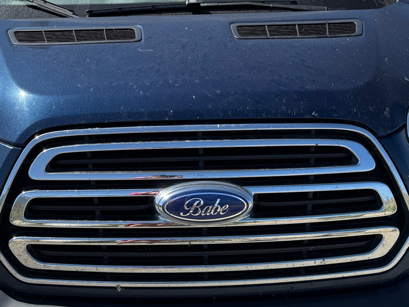 Dusty blue van front with a "Babe" emblem on its chrome grille, perfect for an rv rental road trip.