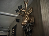 Golden deer head sculpture with antler hooks & shiny holder on wood wall of an RV rental.