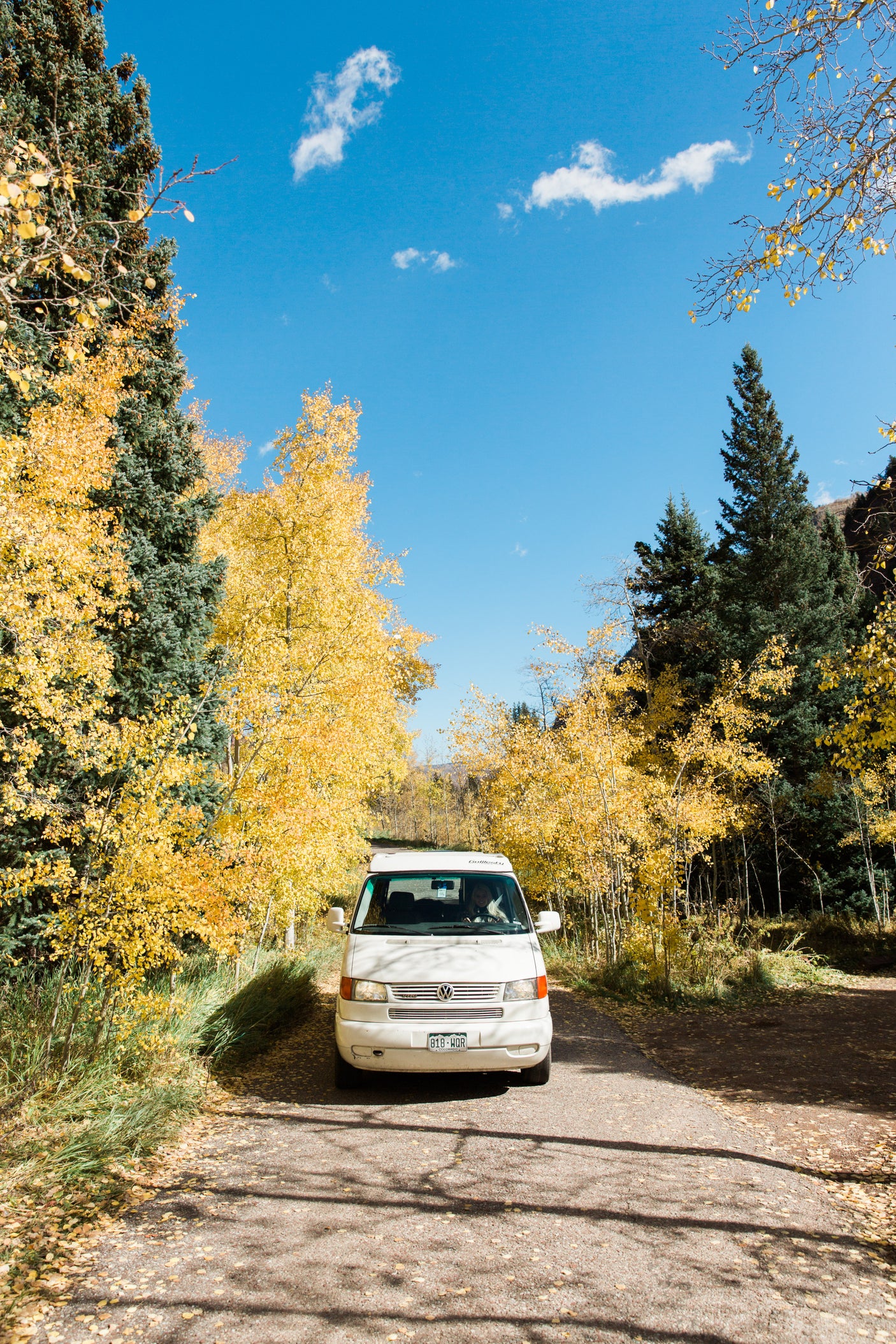 White camper van RV rental on a scenic road, framed by vibrant yellow aspen trees and evergreens, perfect for a fall road trip.