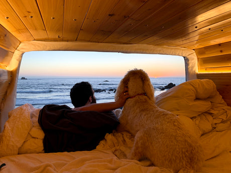 Man and dog watch a beautiful ocean sunset from their cozy RV rental bed.