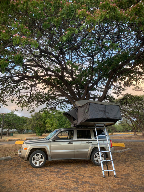 A car with a gray rooftop tent and ladder under a large tree, like a compact rv rental for outdoor getaways.