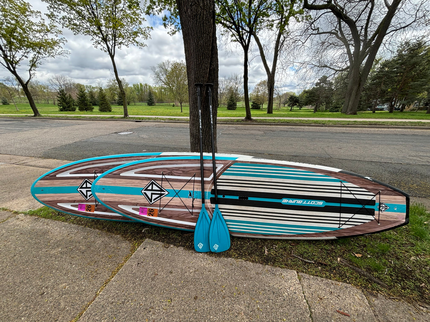 Two vibrant paddleboards & paddles lean on a tree, set for an RV rental adventure in the park.