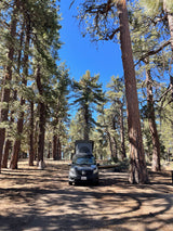 Mercedes-Benz rv rental camper van with pop-top parked in a sunny pine forest campsite.