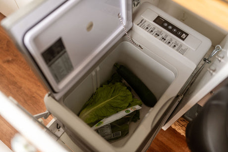 Inside an RV rental's portable refrigerator, holding fresh lettuce and zucchini for travel meals.