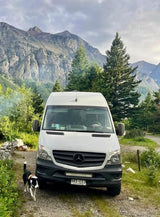 White RV rental van, dog, and majestic mountains. Perfect for scenic van life adventures in a beautiful setting.