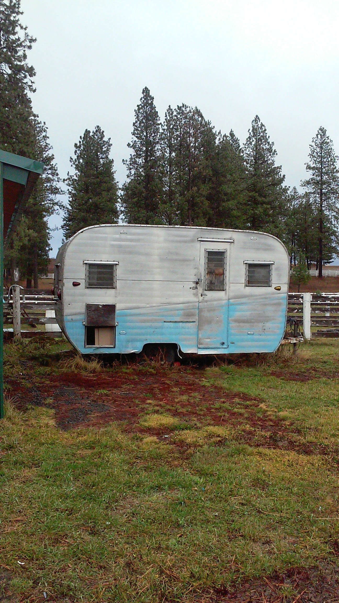An old, silver & blue travel trailer, a far cry from an RV rental, parked in a grassy field near pine trees. — photo 10