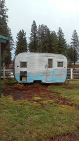 An old, silver & blue travel trailer, a far cry from an RV rental, parked in a grassy field near pine trees.