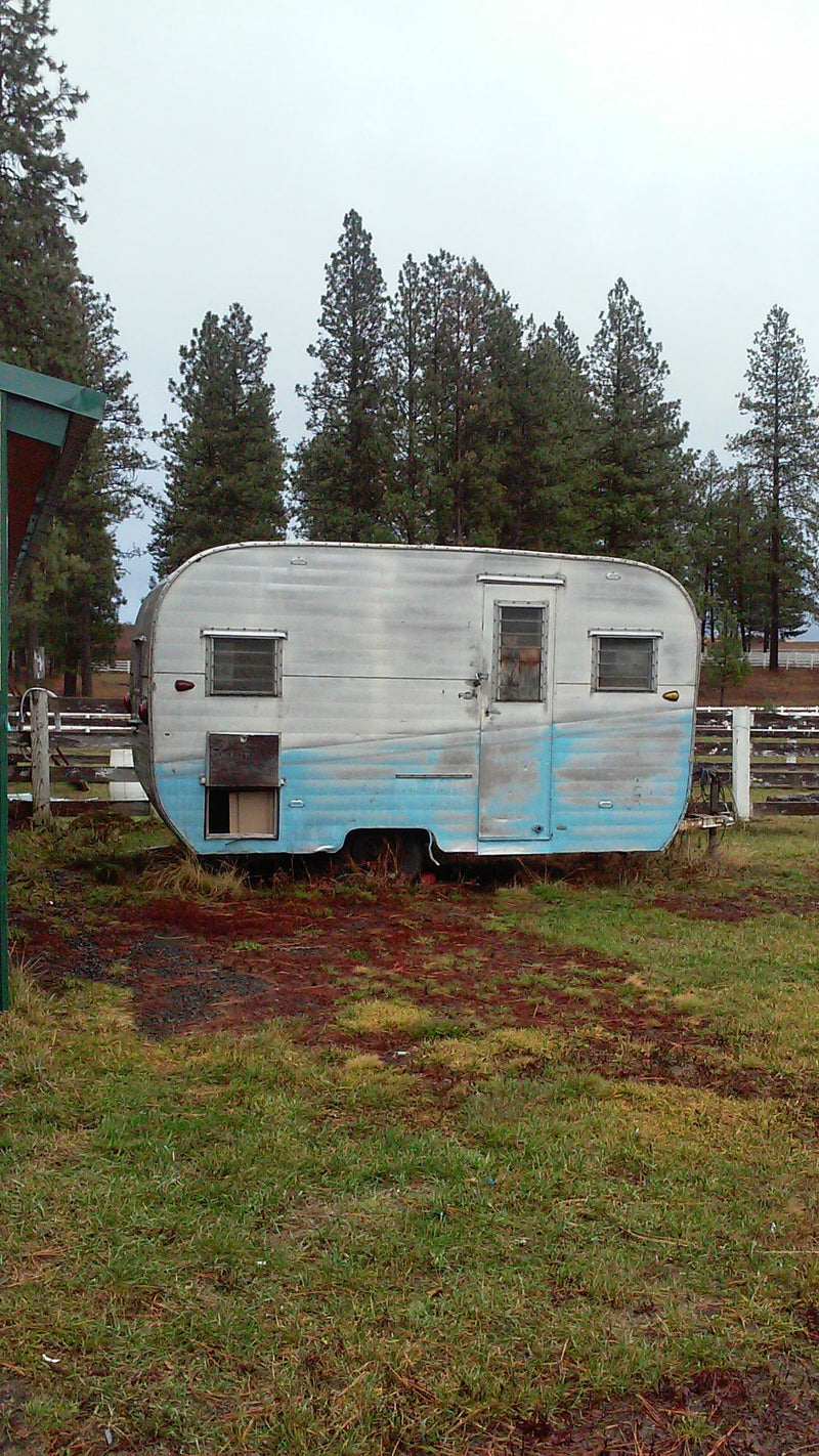 An old, silver & blue travel trailer, a far cry from an RV rental, parked in a grassy field near pine trees. — photo 10