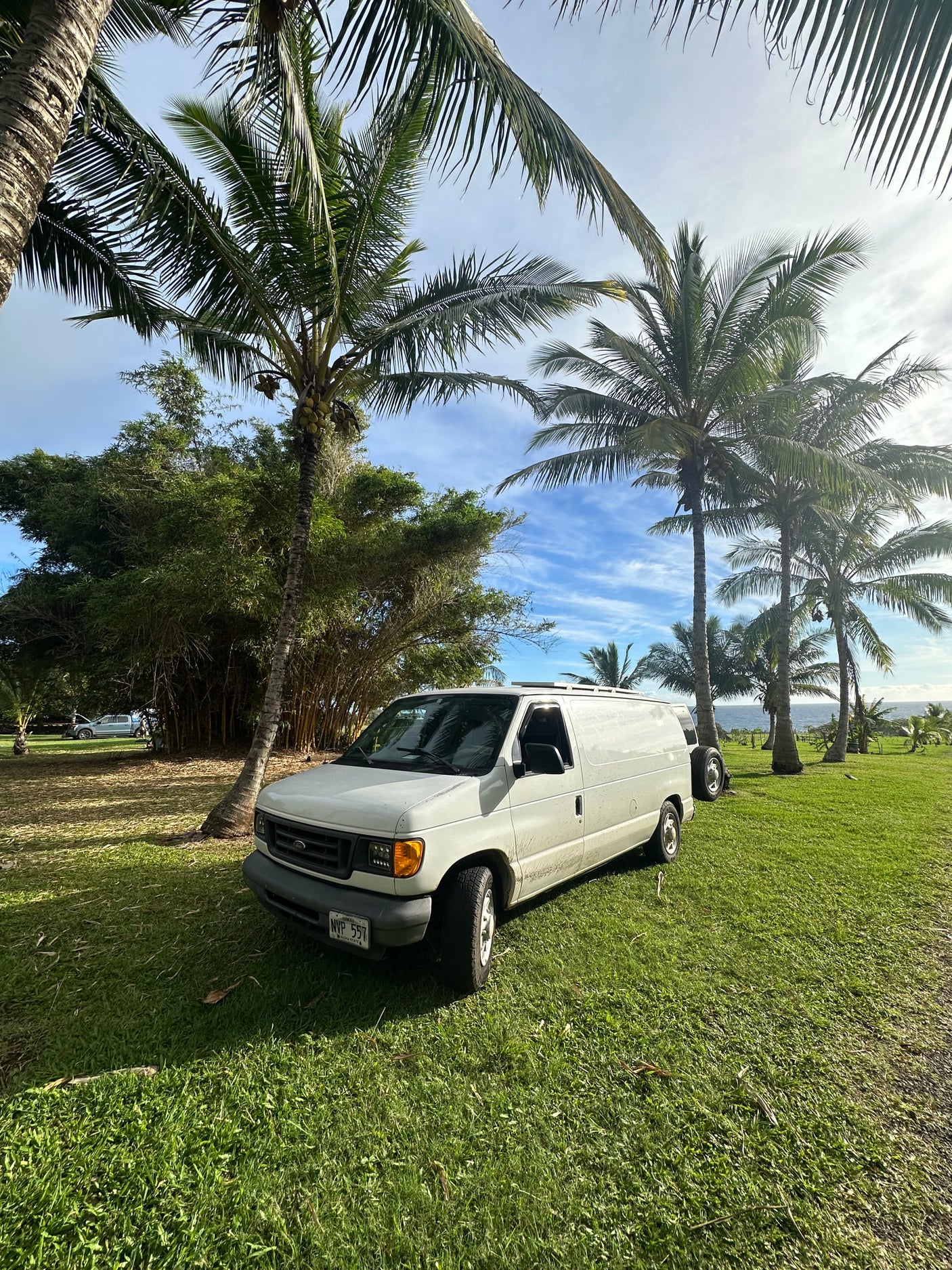 White Ford RV rental van on green grass, surrounded by tropical palm trees and bamboo, with an ocean view under a blue sky.