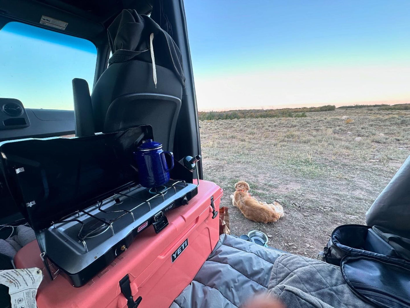 Inside an RV rental: camp stove on a Yeti cooler, with a dog relaxing outside. Perfect for an outdoor adventure.