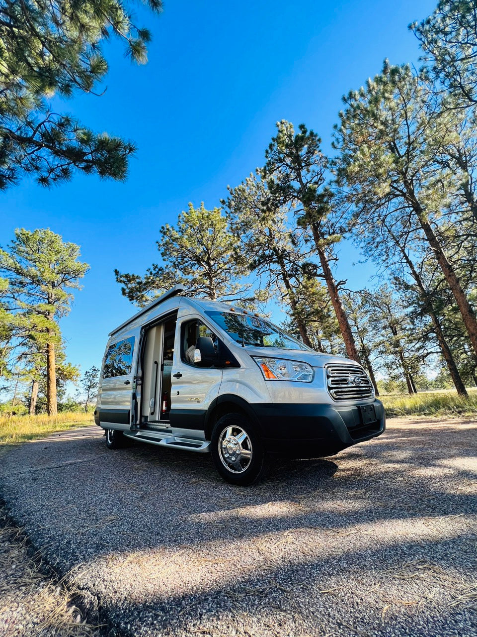 Silver camper van RV rental parked in a sunlit pine forest, side door open, perfect for nature road trips.