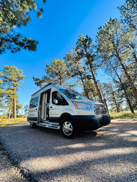 Silver camper van RV rental parked in a sunlit pine forest, side door open, perfect for nature road trips.