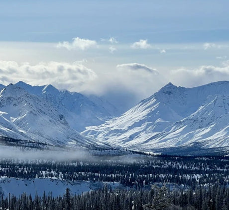 Majestic snow-capped mountains and a dense winter forest under a blue sky. Ideal for a scenic RV rental adventure.