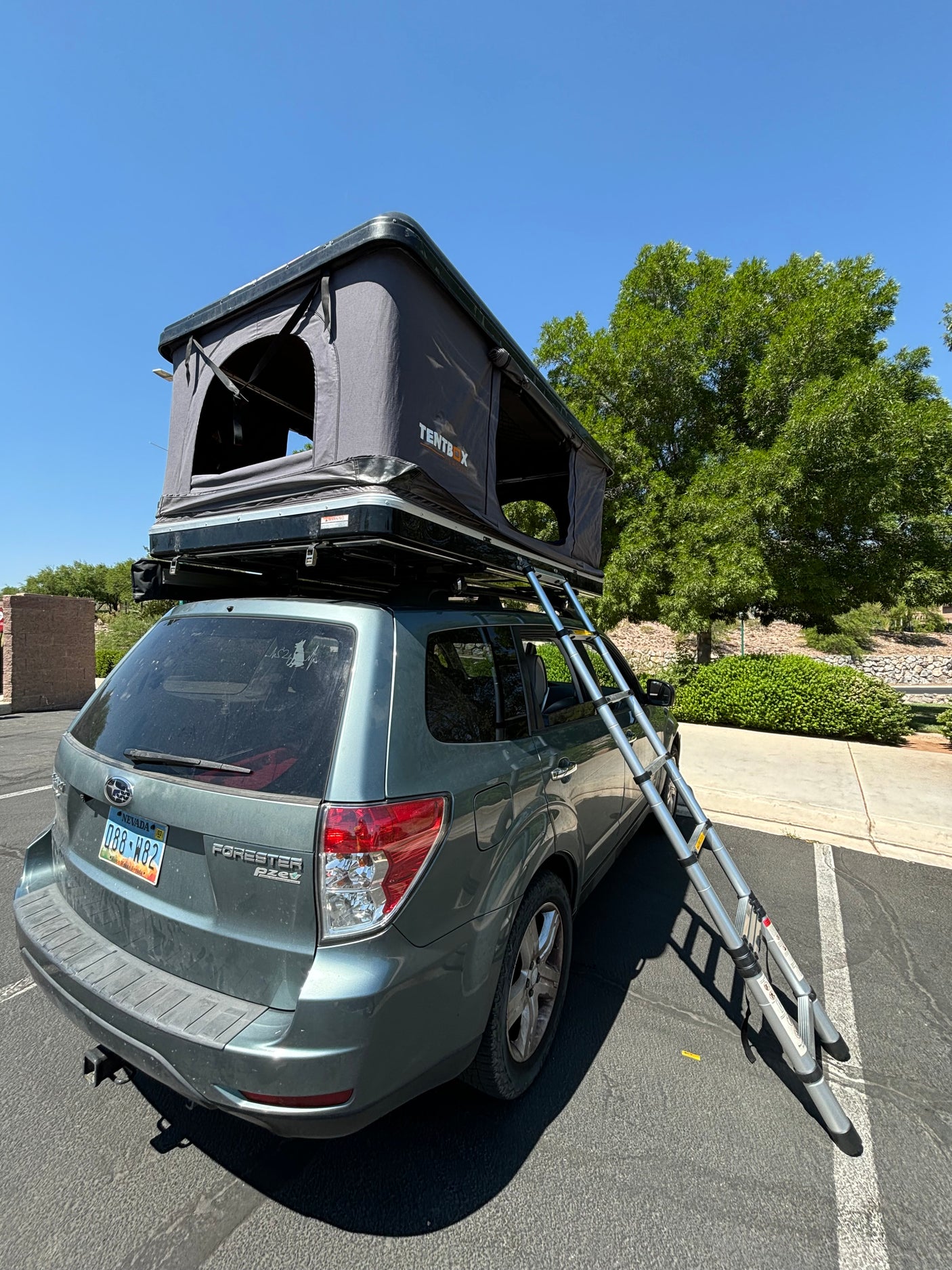 Grey Subaru Forester with an open TentBox rooftop tent and extended ladder. Great compact **rv rental** option.