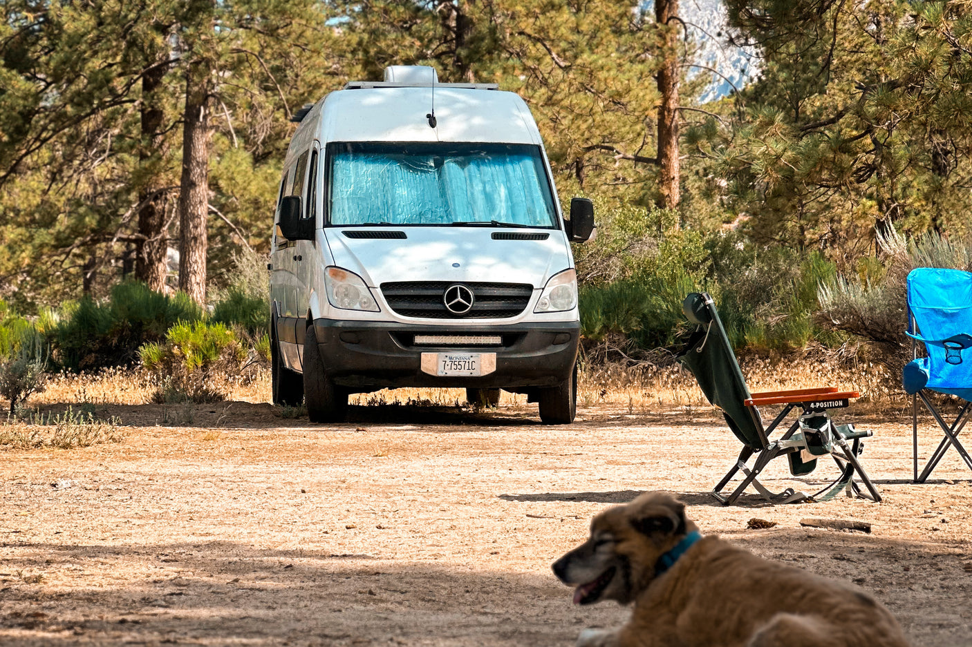 A white Sprinter RV rental parked at a serene campsite with two chairs and a dog enjoying the outdoors among pine trees.