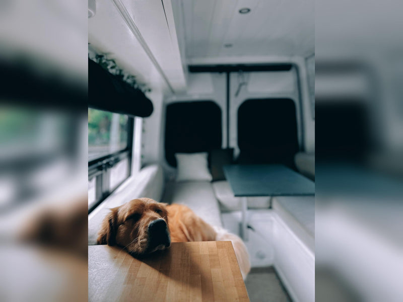 Custom Build Luxury Off-Grid Apartment on Wheels (Dog Friendly) — photo 19