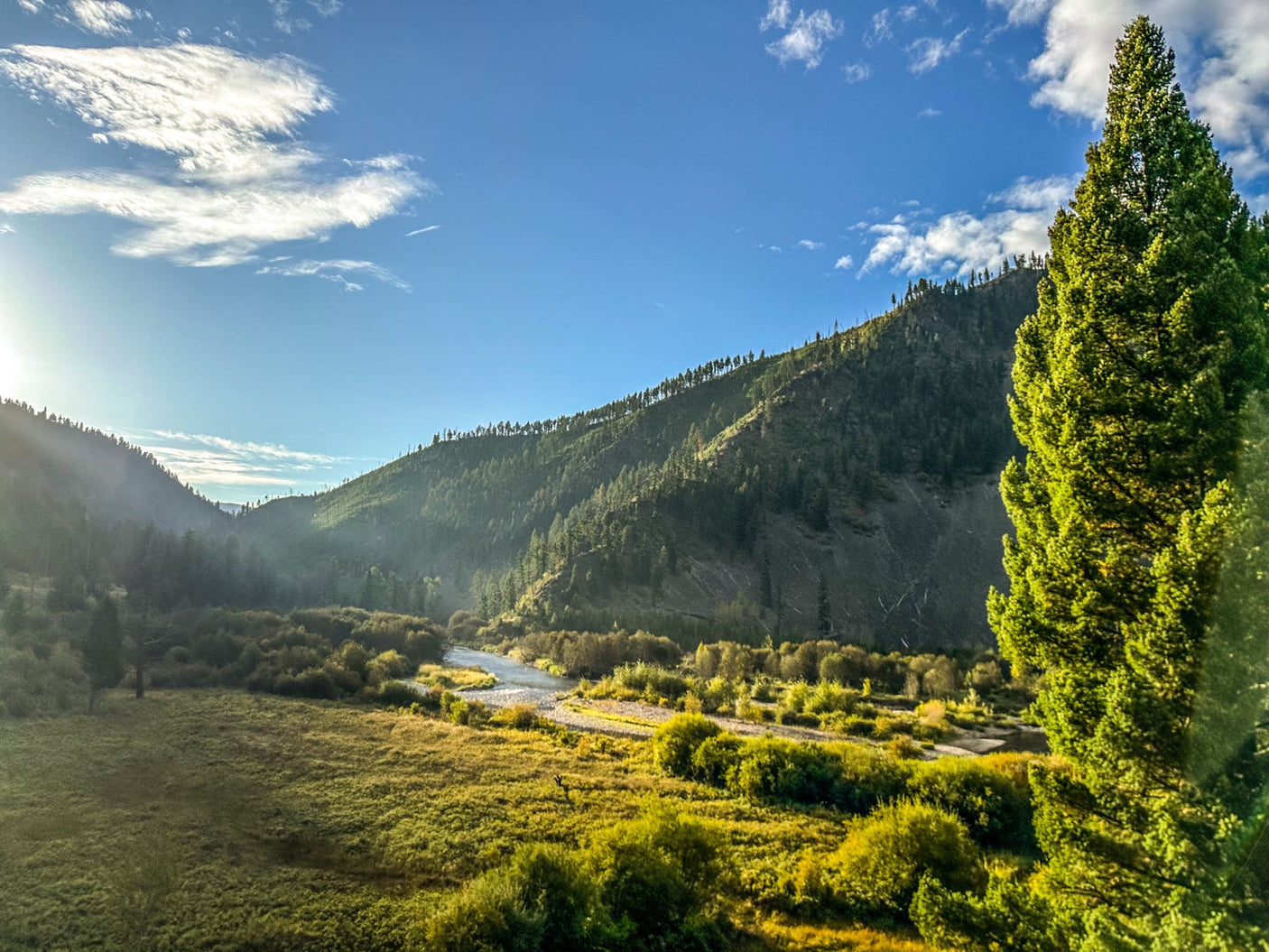 Scenic mountain valley, river, and lush trees in sunlight for your RV rental adventure.