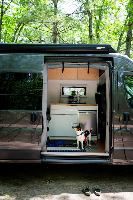 Modern grey RV rental with side door open, revealing a bright interior kitchen, and a small dog. Parked in a forest.