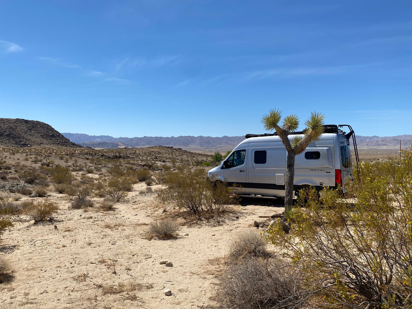White **RV rental** parked in the sunny desert beside a Joshua Tree, ready for rugged adventures.