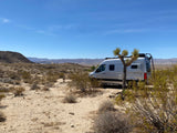 White **RV rental** parked in the sunny desert beside a Joshua Tree, ready for rugged adventures.