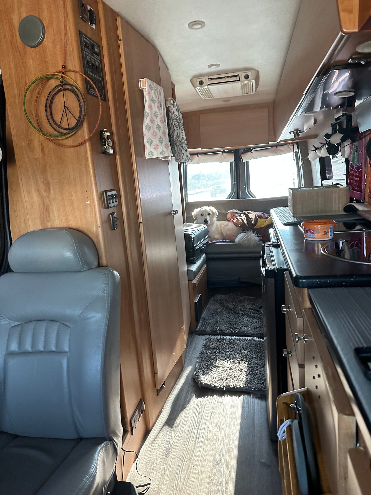 Step into this rv rental! Features a comfy driver's seat, full kitchen, and a relaxed dog & person in the sunlit living space.