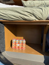 RV rental: Under-bed storage shows four butane fuel cans for a portable stove.