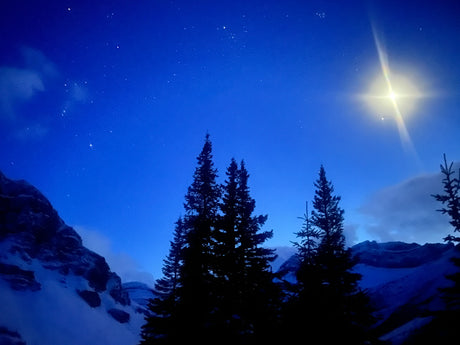 Deep blue night sky, sparkling stars, & glowing celestial object above snowy mountains & silhouetted pines. RV rental views!