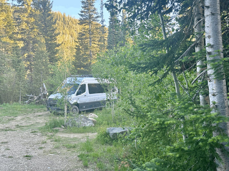 Serene forest campsite with a white Mercedes camper van, perfect for an RV rental adventure.