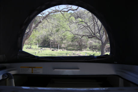 View from inside an RV rental: a peaceful campsite with lush trees and picnic tables.
