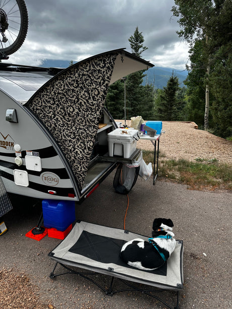 Camping with an RV rental: a compact teardrop trailer's outdoor kitchen and a resting dog. Scenic mountains beyond.