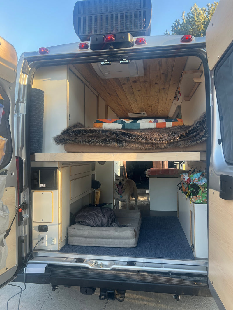 Inside a pet-friendly RV rental camper van: elevated bed, storage, and a happy dog enjoying mobile life. — photo 2