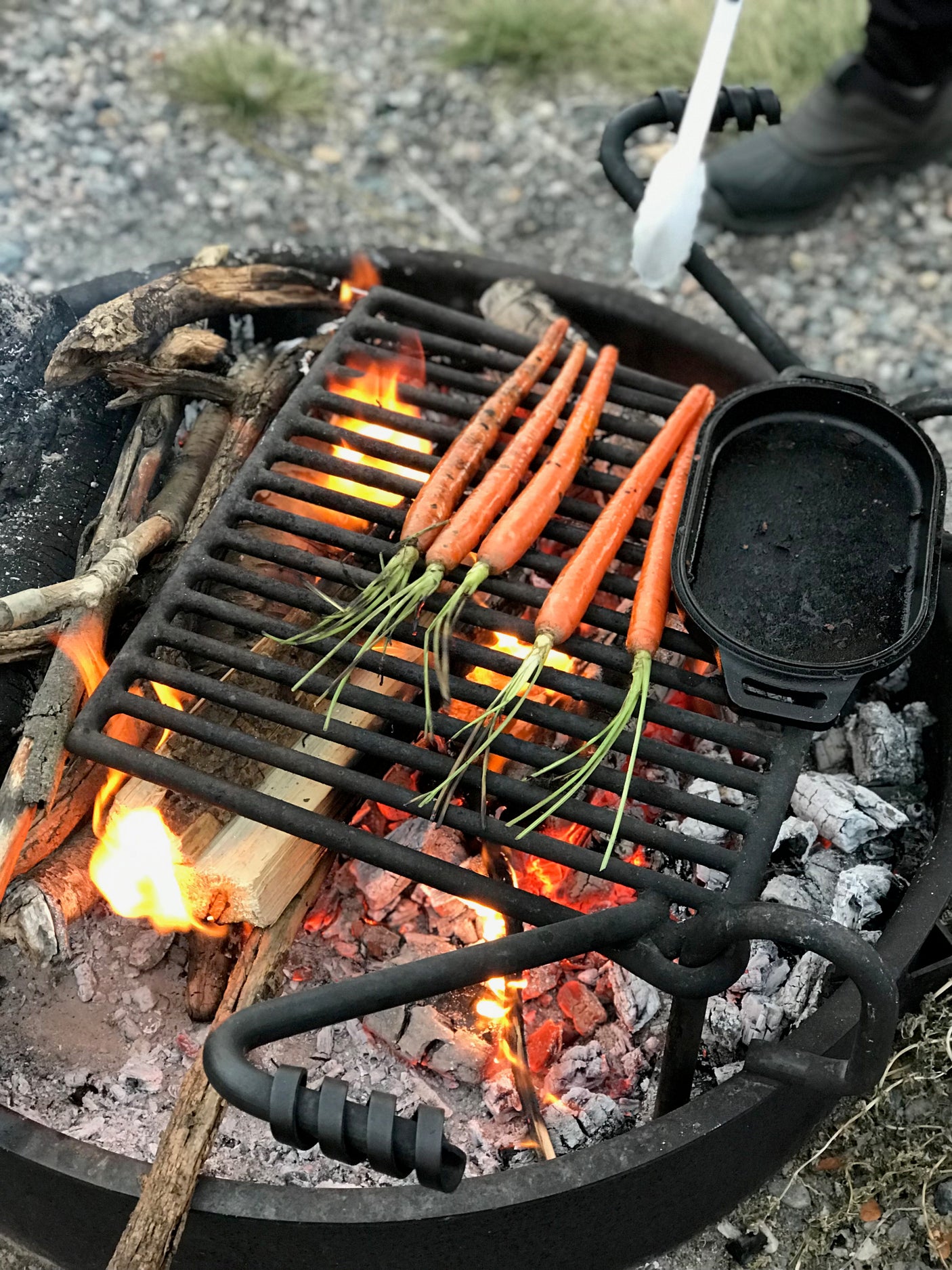 Fresh carrots grilling over glowing campfire embers in a fire pit. An essential RV rental outdoor cooking experience.