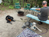 RV rental campsite view: A person at a picnic table with two dogs, a fire pit, and green camping chairs.