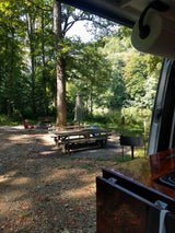 RV rental view: serene outdoor campsite with picnic table, grill, and tall trees by the water.