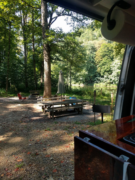 RV rental view: serene outdoor campsite with picnic table, grill, and tall trees by the water.
