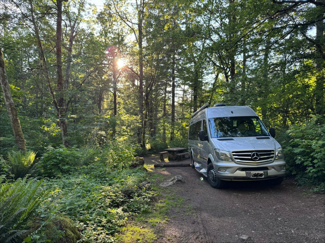 This silver RV rental is parked at a serene forest campsite, bathed in sunlight, surrounded by lush trees and ferns.