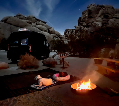Nighttime RV rental camping: a van, two dogs by a warm campfire, set among large rocks under a clear, starry sky.