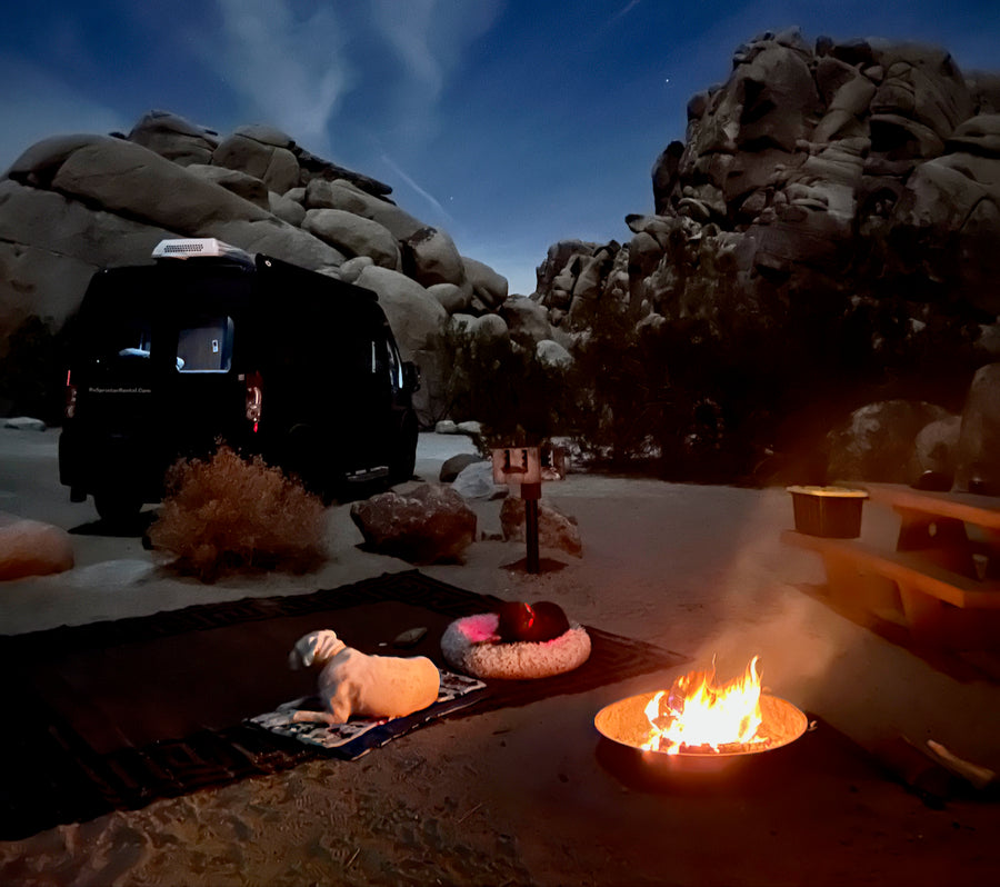 Nighttime RV rental camping: a van, two dogs by a warm campfire, set among large rocks under a clear, starry sky.