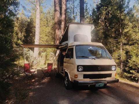 1982 Volkswagen Westfalia "Buttercup" overland rental