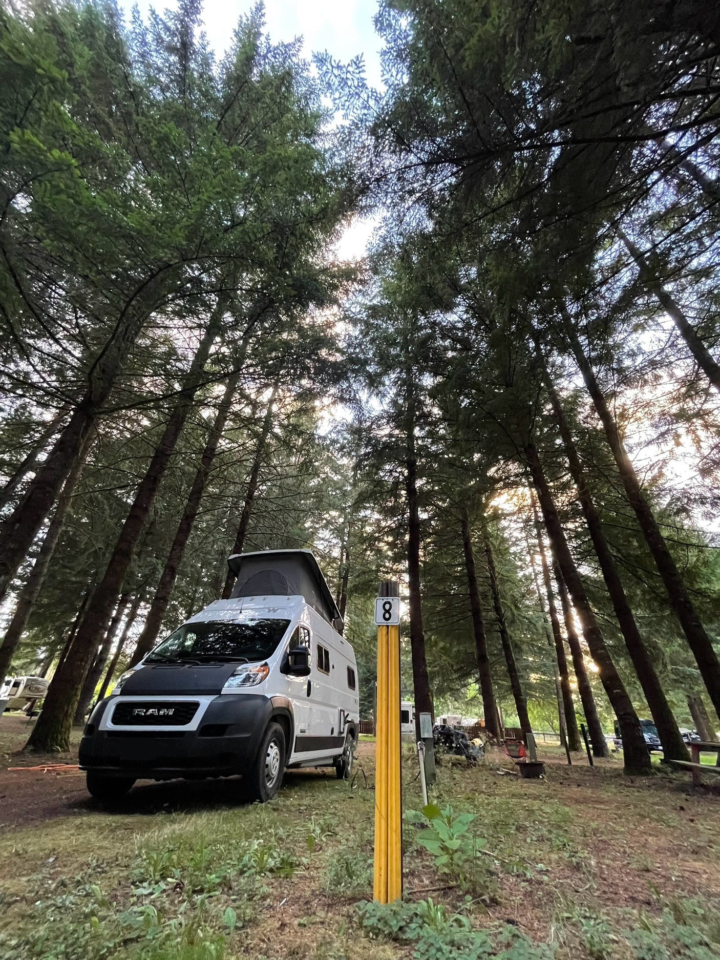RV rental at a shaded forest campsite #8, a white camper van bathed in sunlight filtering through tall trees.