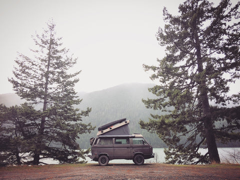 Van #3 - Wolf — photo 4