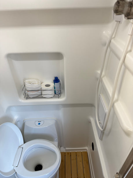 Wanda's wet bath: compact space with toilet, shower head, and shelf holding shower curtain, biodegradable soap and RV toilet paper.
