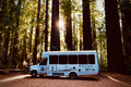 2016 Ford E-450 Shuttle Bus Conversion "Turtle Shuttle"