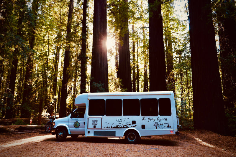 White RV rental shuttle bus with bicycle, parked amidst towering redwood trees bathed in sunlight. Ideal for nature adventures. — photo 1