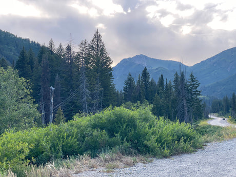 Scenic mountain drive through lush forests under a cloudy sky. Ideal for an RV rental vacation, winding roads offer breathtaking views.