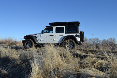 White Jeep Wrangler Rubicon with rooftop tent, parked in dry grass under clear sky. Great for RV rental adventures.