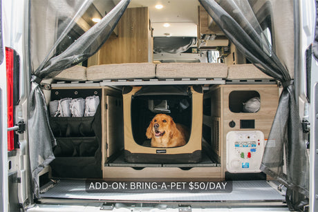 Happy golden retriever in a pet-friendly RV rental, showing a dog crate & add-on cost ($50/day) for furry travelers.